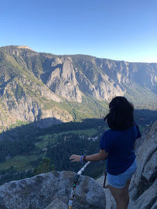 Meet your Posher, Honey grace